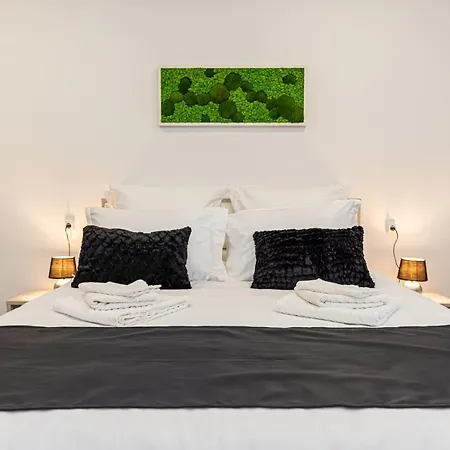 Guest house Bada Bing Brasov