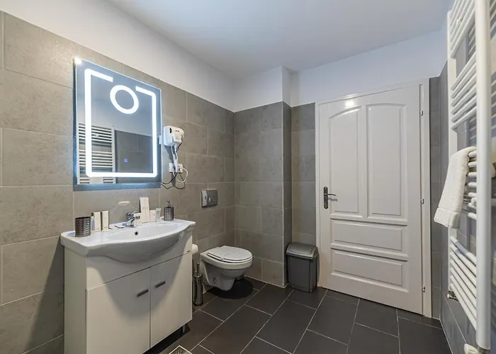 Guest house Bada Bing Brasov