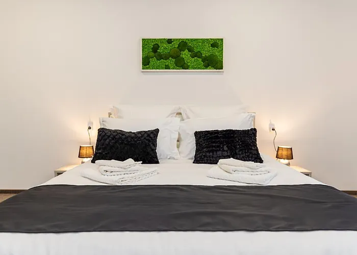 Guest house Bada Bing Brasov